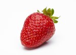 Erdbeeren freigestellt VSSE J Roesner (12) thumb