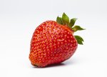 Erdbeeren freigestellt VSSE J Roesner (29) thumb