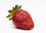 Erdbeeren freigestellt VSSE J Roesner (3) thumb