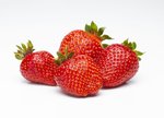 Erdbeeren freigestellt VSSE J Roesner (40) thumb