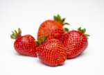 Erdbeeren freigestellt VSSE J Roesner (46) thumb