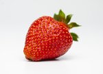 Erdbeeren freigestellt VSSE J Roesner (48) thumb