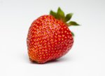 Erdbeeren freigestellt VSSE J Roesner (49) thumb