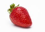 Erdbeeren freigestellt VSSE J Roesner (7) thumb