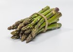 Grünspargel freigestellt VSSE J Roesner (105) thumb