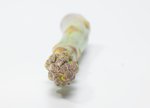 Grünspargel freigestellt VSSE J Roesner (121) thumb