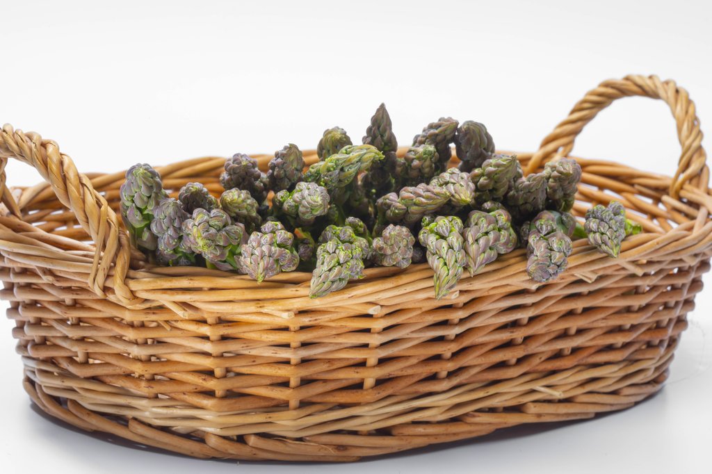 Image Grünspargel_freigestellt_VSSE_J_Roesner (125).JPG