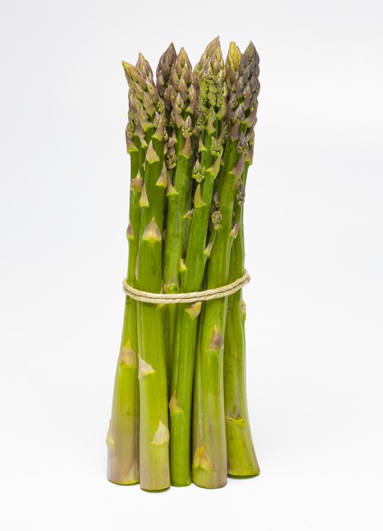 Image Grünspargel_freigestellt_VSSE_J_Roesner (13).JPG