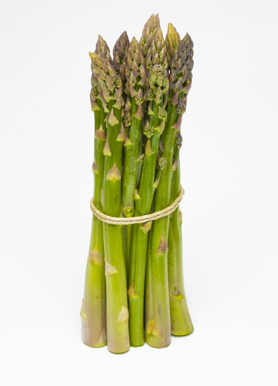 Image Grünspargel_freigestellt_VSSE_J_Roesner (16).JPG
