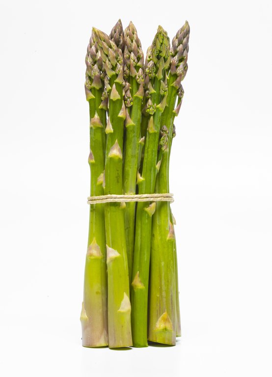 Image Grünspargel_freigestellt_VSSE_J_Roesner (2).JPG