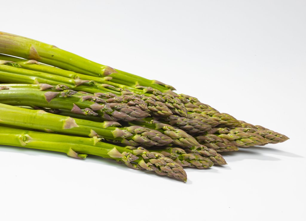 Image Grünspargel_freigestellt_VSSE_J_Roesner (53).JPG