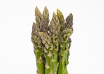 Grünspargel freigestellt VSSE J Roesner (6) thumb