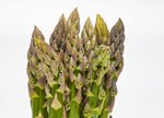 Grünspargel freigestellt VSSE J Roesner (7) thumb