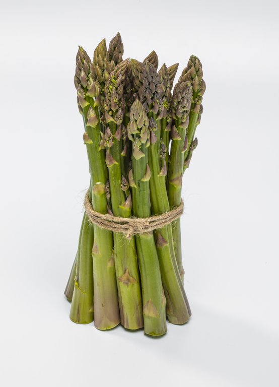 Image Grünspargel_freigestellt_VSSE_J_Roesner (84).JPG