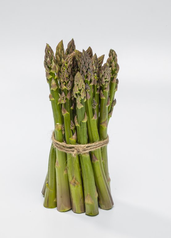 Image Grünspargel_freigestellt_VSSE_J_Roesner (88).JPG