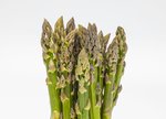 Grünspargel freigestellt VSSE J Roesner (90) thumb