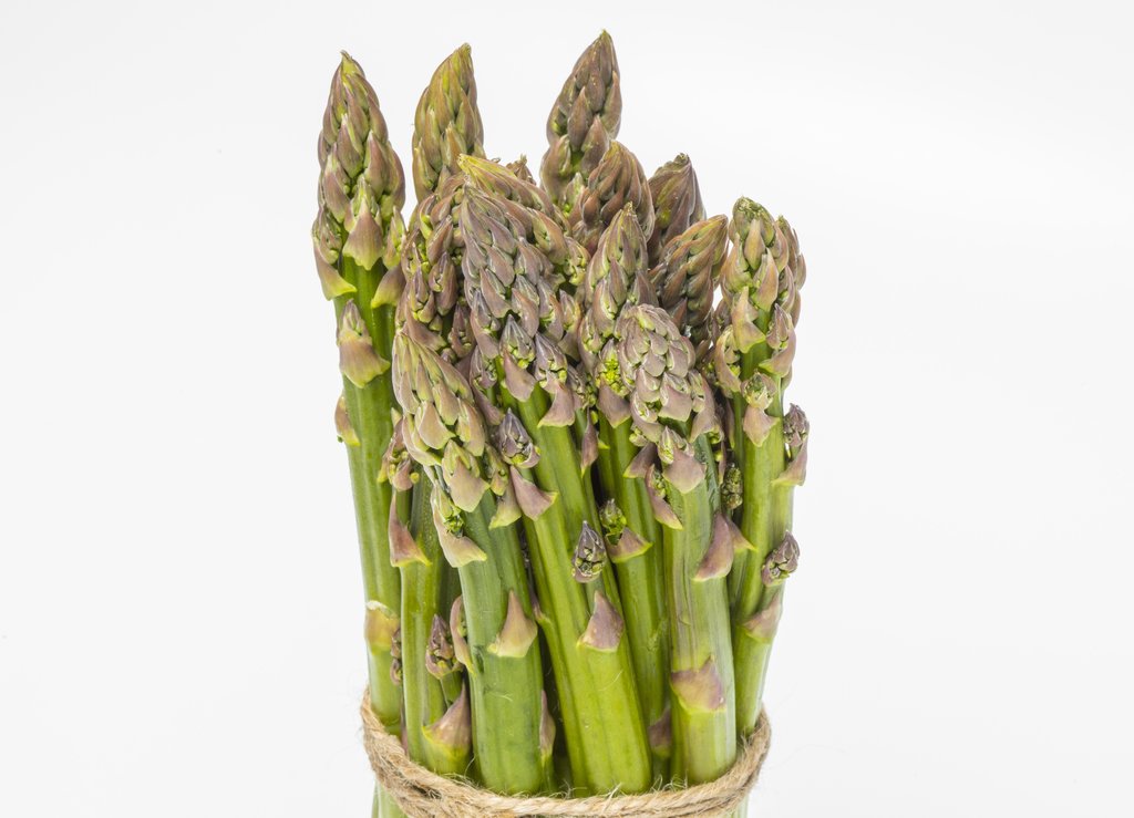 Image Grünspargel_freigestellt_VSSE_J_Roesner (91).JPG