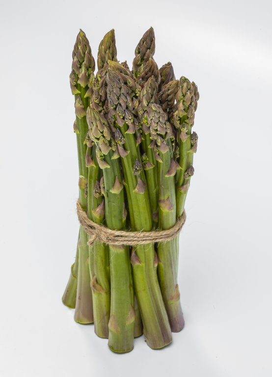 Image Grünspargel_freigestellt_VSSE_J_Roesner (92).JPG