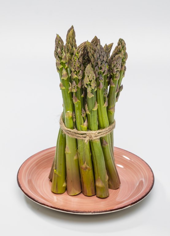 Image Grünspargel_freigestellt_VSSE_J_Roesner (96).JPG
