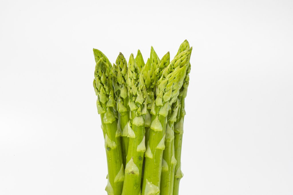 Image Grünspargel_hellgrün_freigestellt_VSSE_J_Roesner (83).JPG