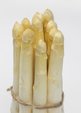 Weisser Spargel  freigestellt VSSE J Roesner (30) thumb