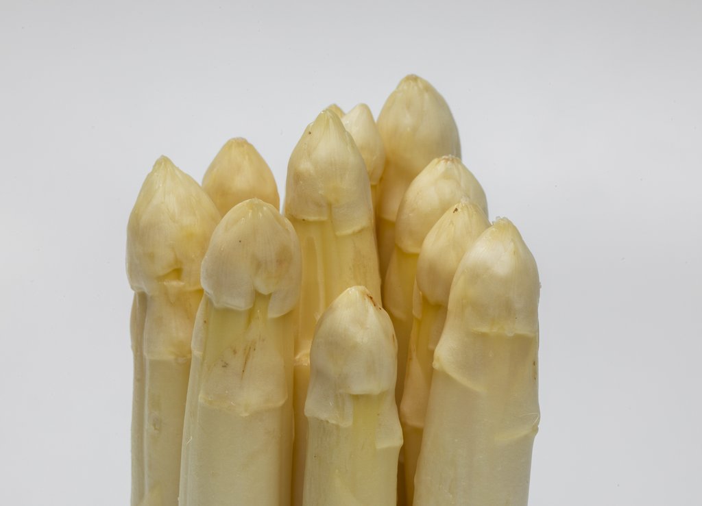 Image Weisser_Spargel_ freigestellt_VSSE_J_Roesner (31).JPG